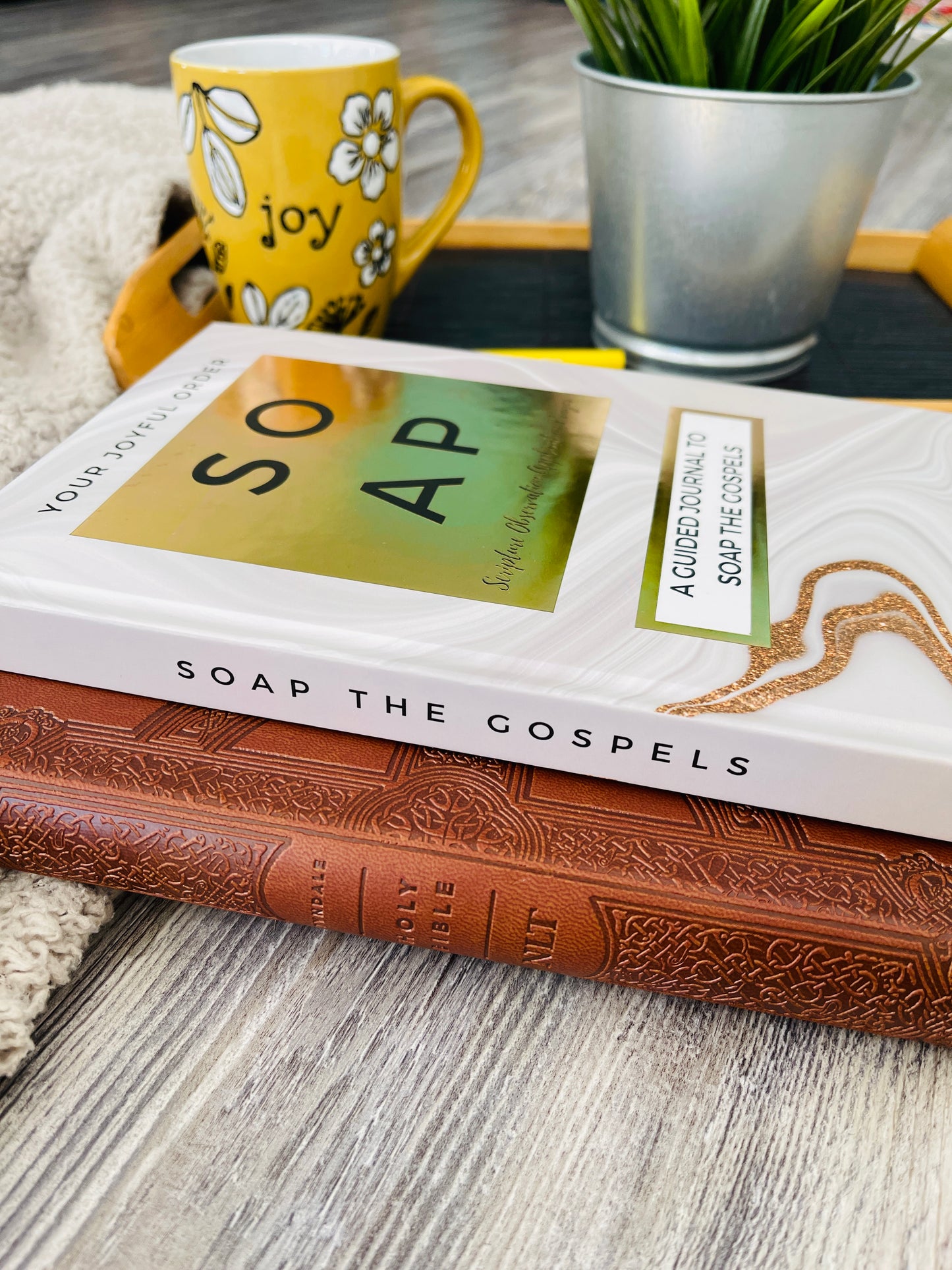 SOAP The Gospels Journal (PRE-SALE)