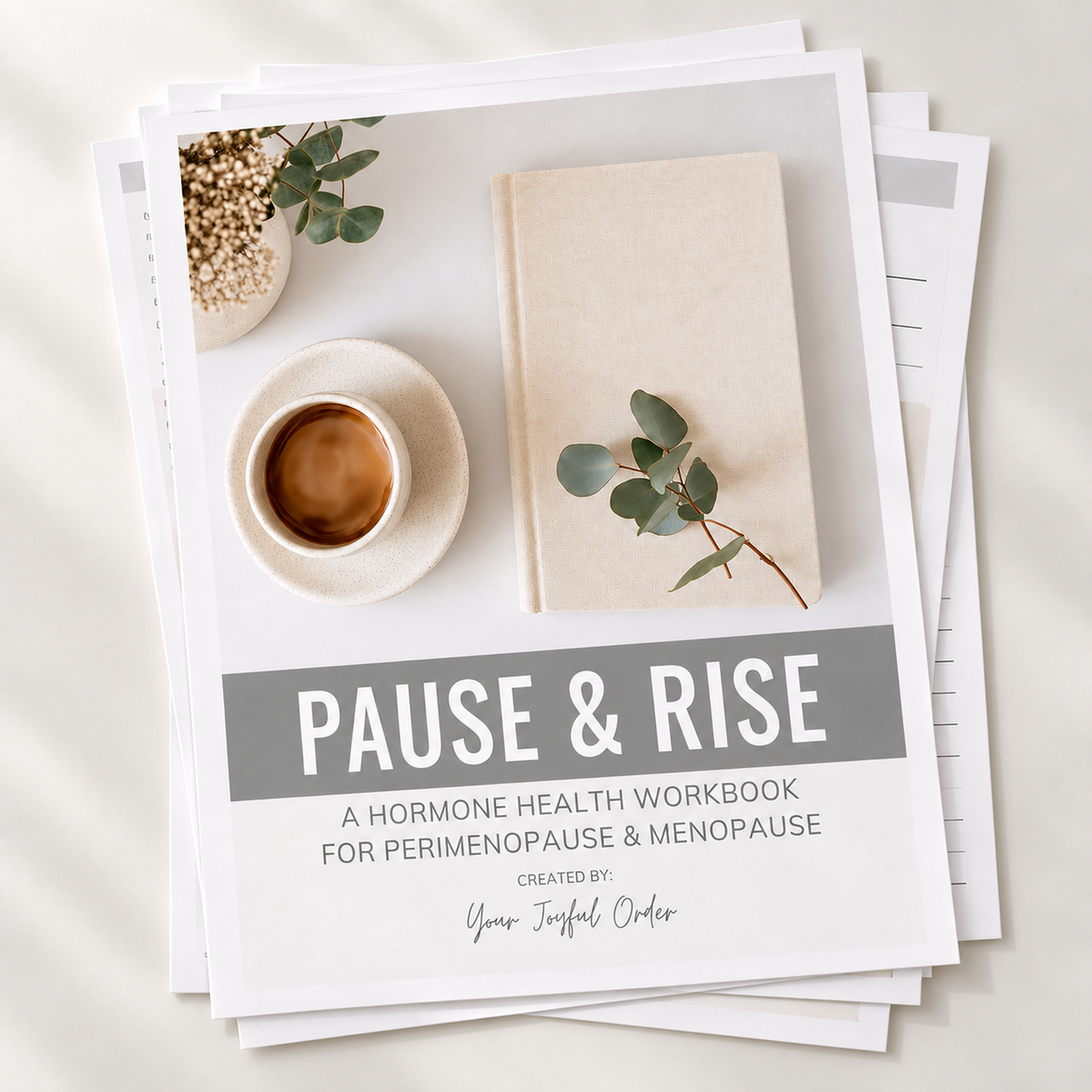 Pause & Rise: A Hormone Health Workbook for Perimenopause & Menopause